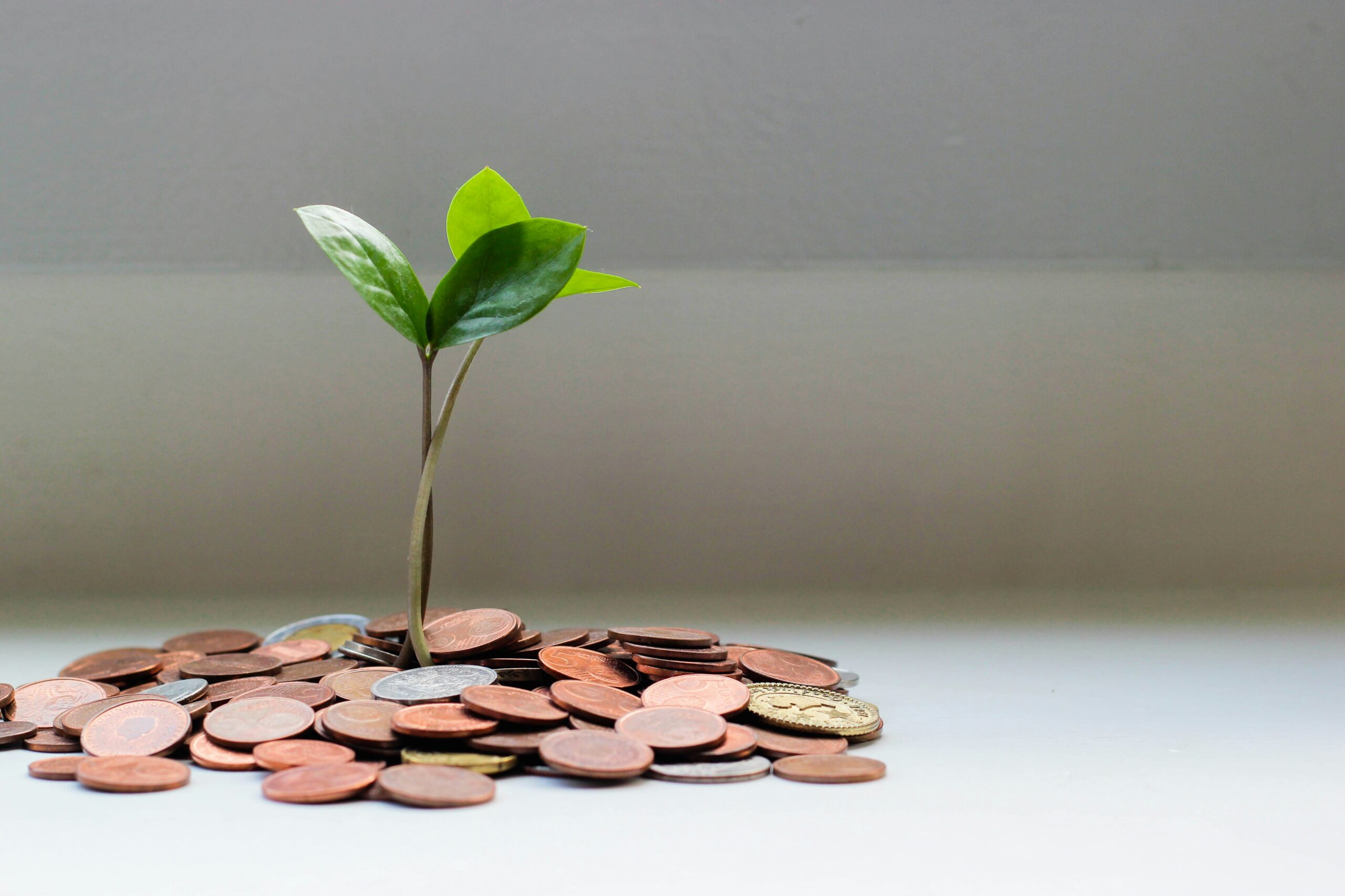 life-centered-financial-planning-how-to-build-portfolios-around-real-goals
